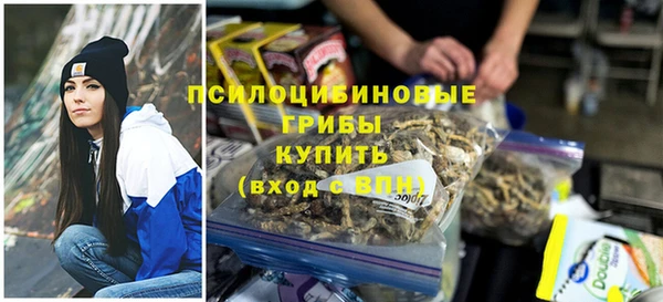 спайс Сосновка