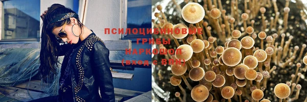 спайс Сосновка