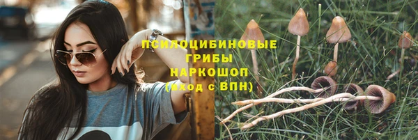 спайс Сосновка