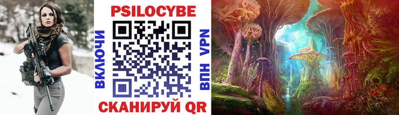 Псилоцибиновые грибы Cubensis  Хилок 